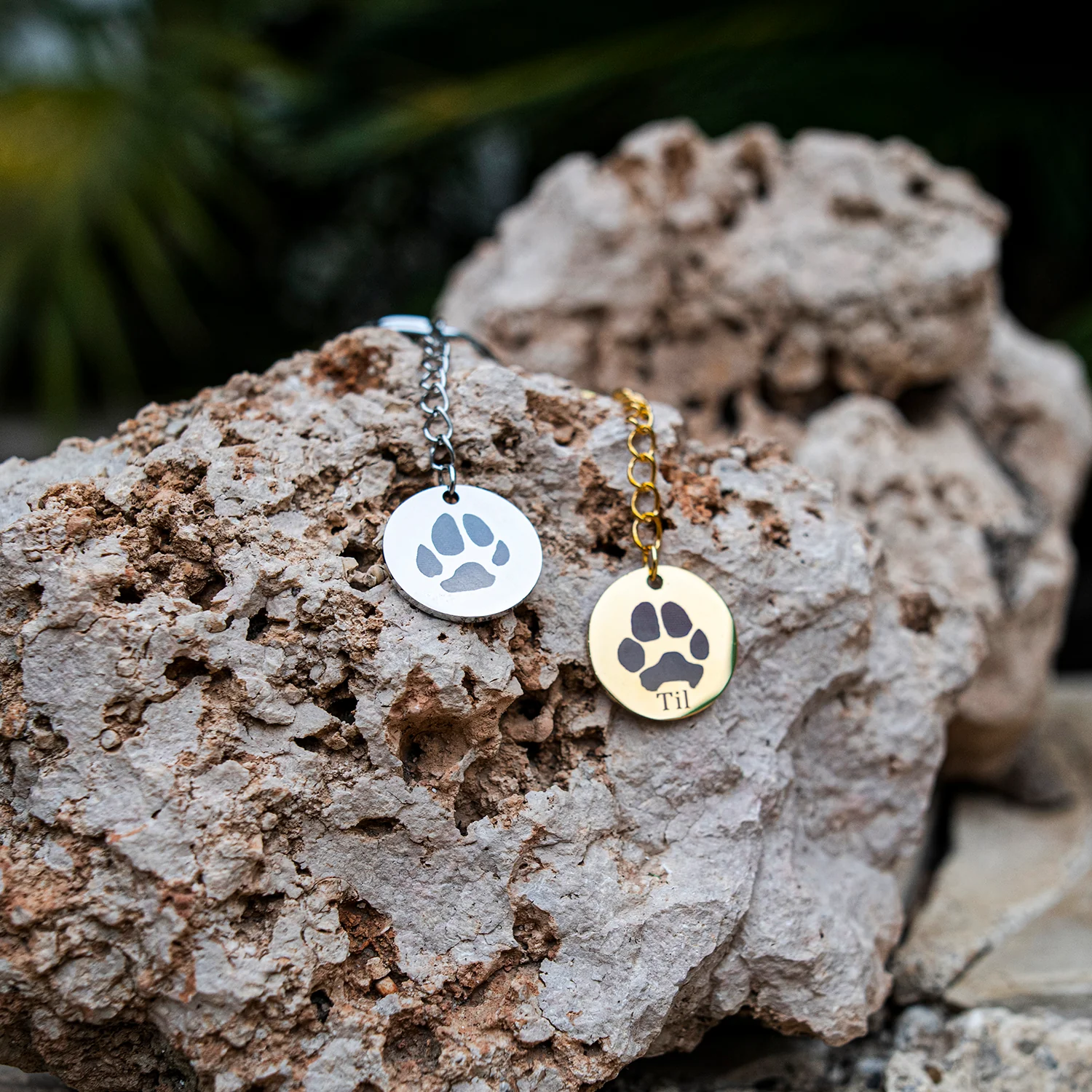 Collana Cerchio con impronta della zampa