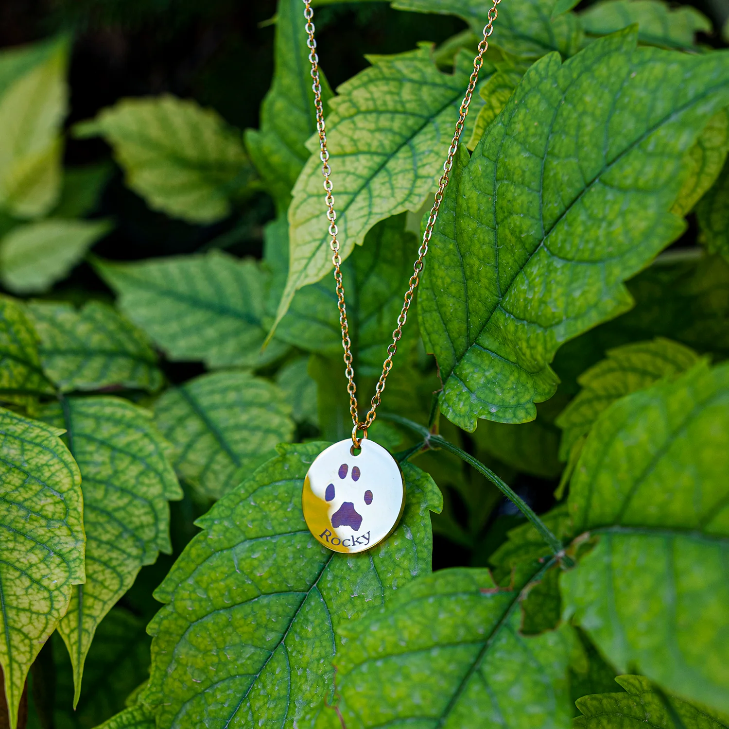 Collana Cerchio con impronta della zampa